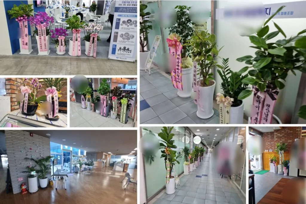 사무실 개업화분 당일 배송