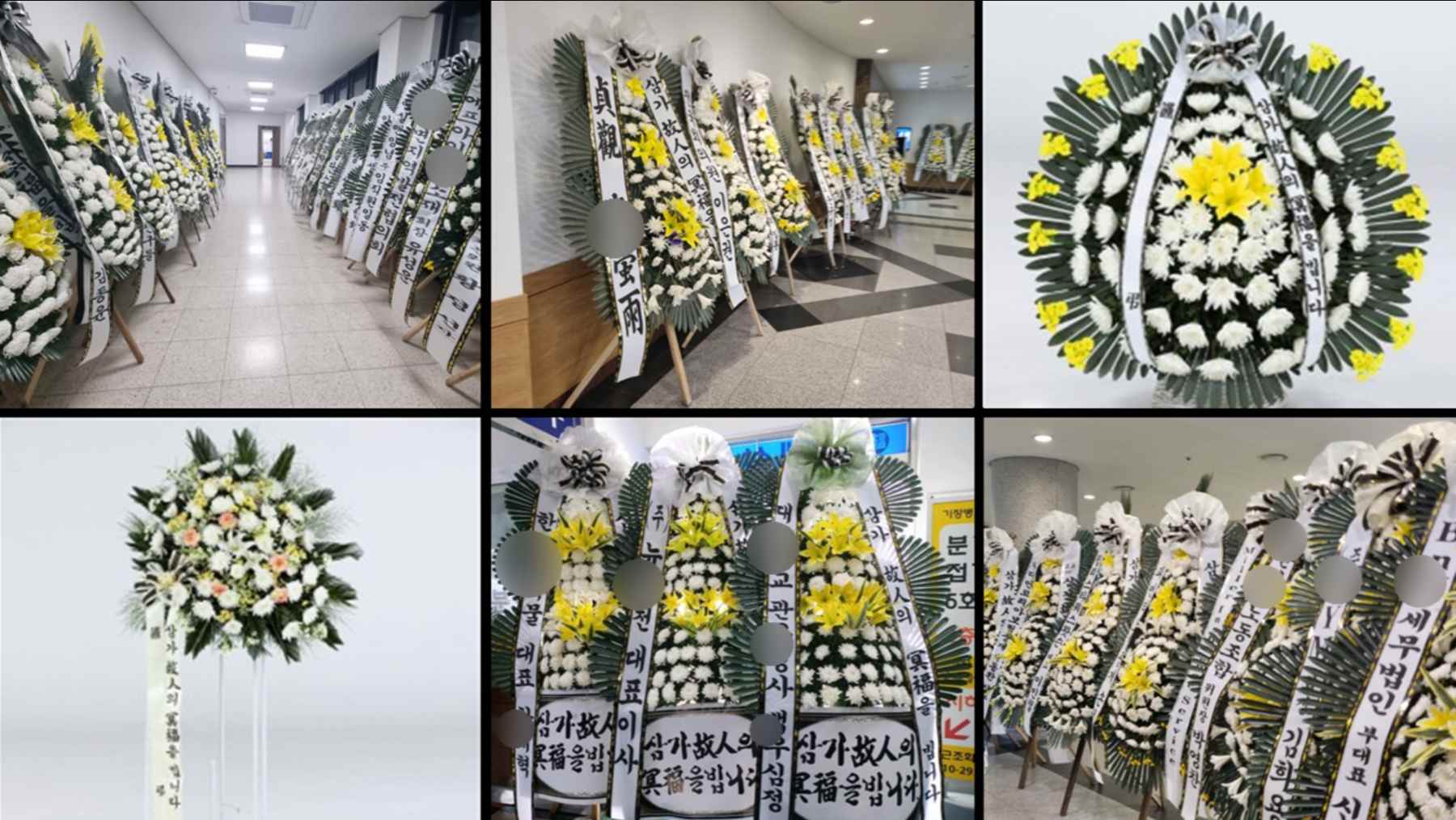 프로모션