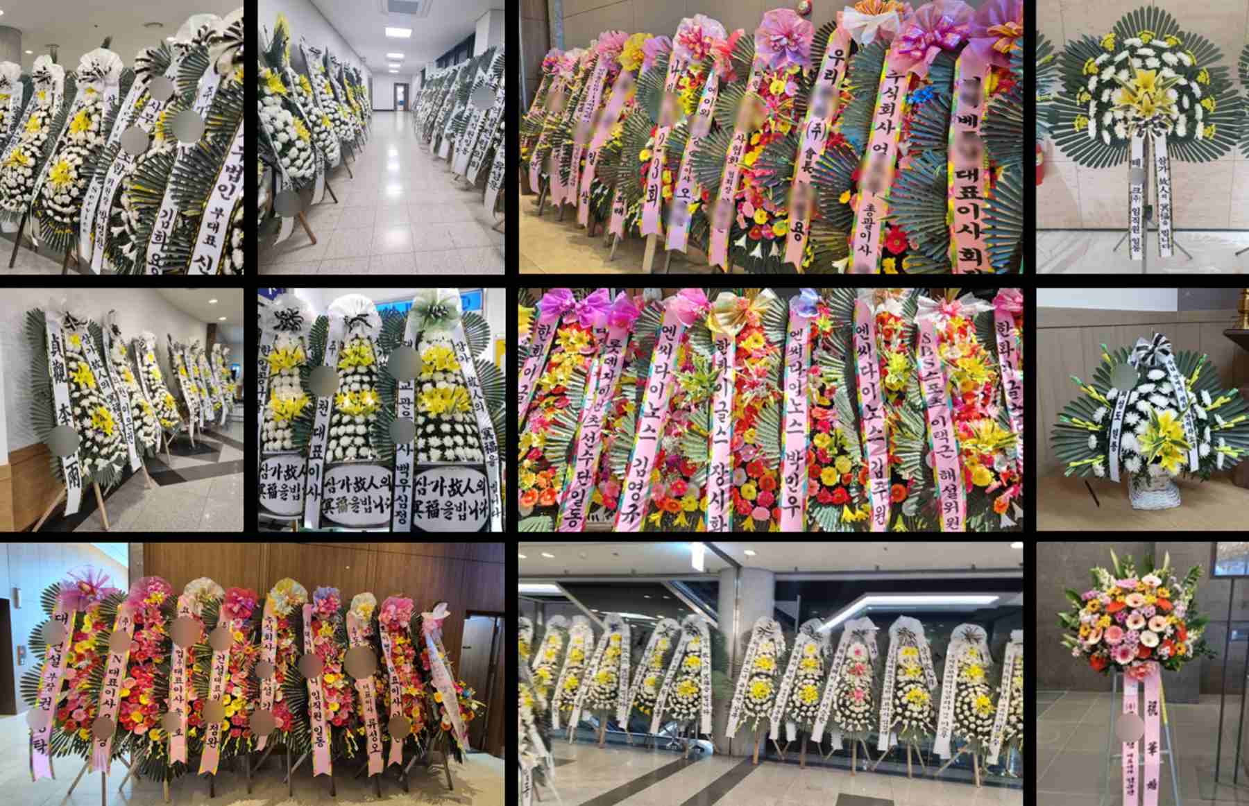 프로모션
