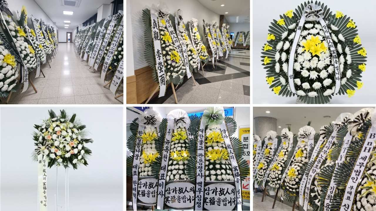 프로모션